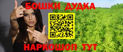 крисы Можга