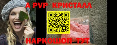 крисы Можга