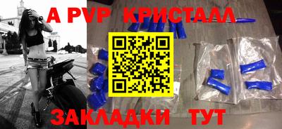 крисы Можга