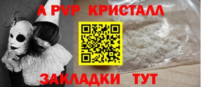 крисы Можга